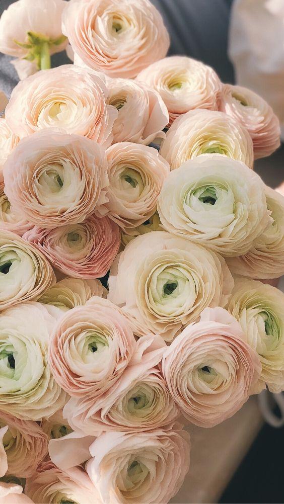 Enchanted Garden Embrace: Floral Symphony